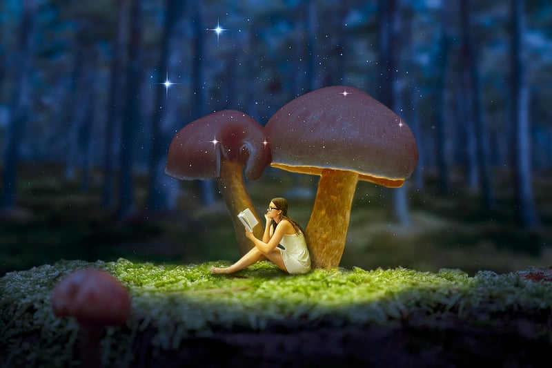 Fantasy Forest